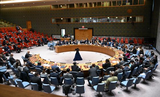 Middle East: Security Council meets on US strikes in Iraq and Syria